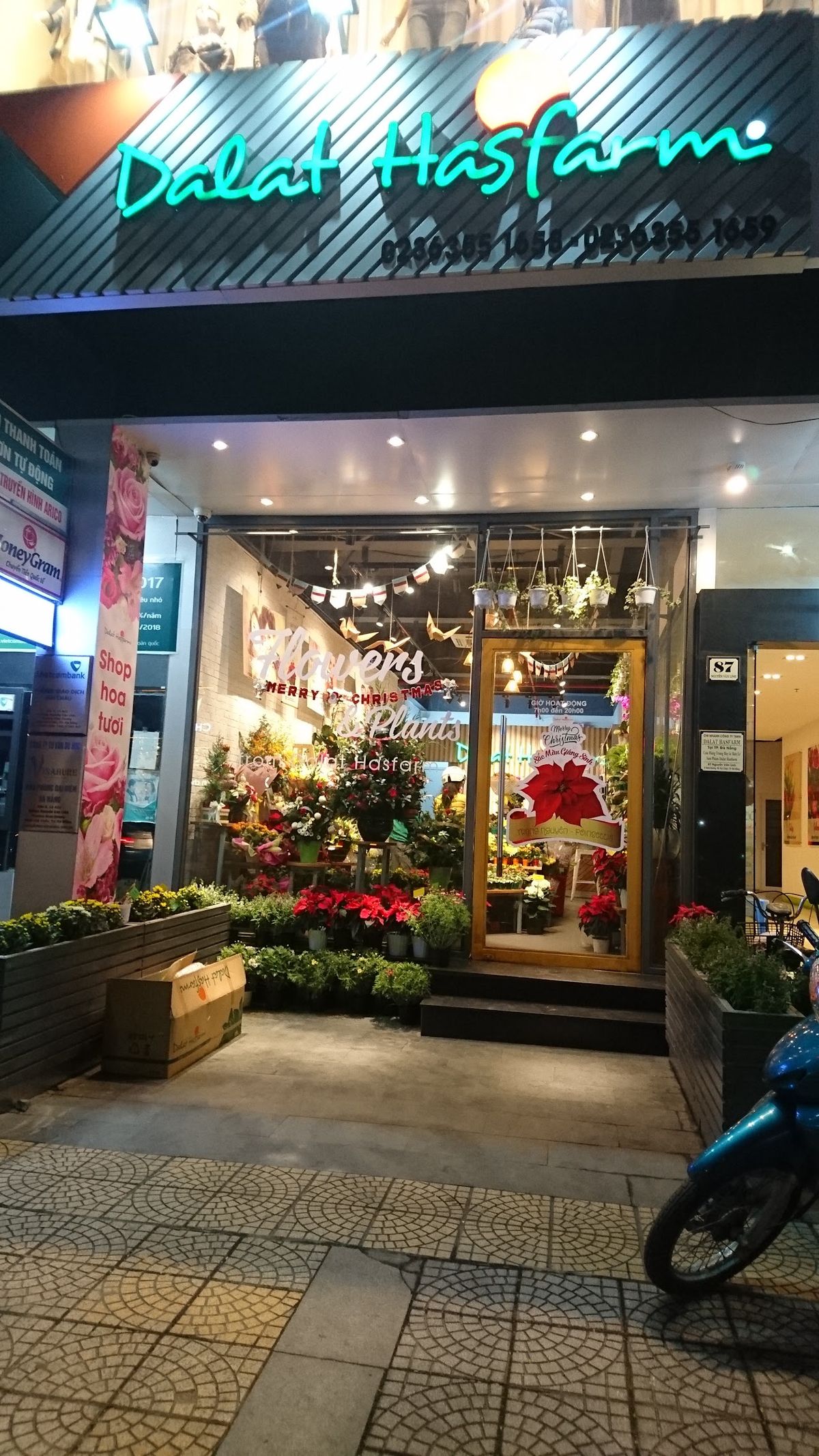 Dalat Hasfarm, Da Nang