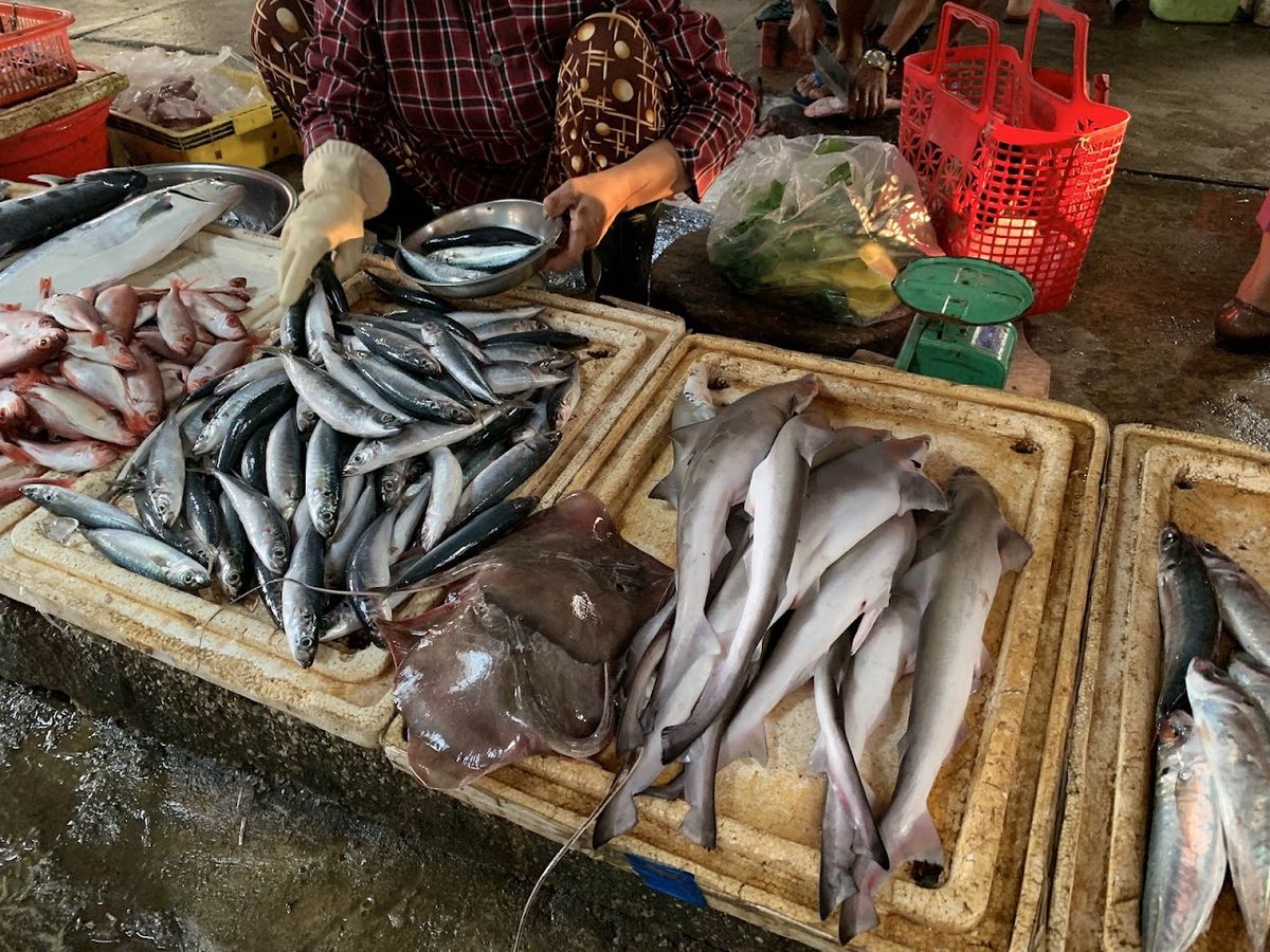 Early Morning Local Market photo 4