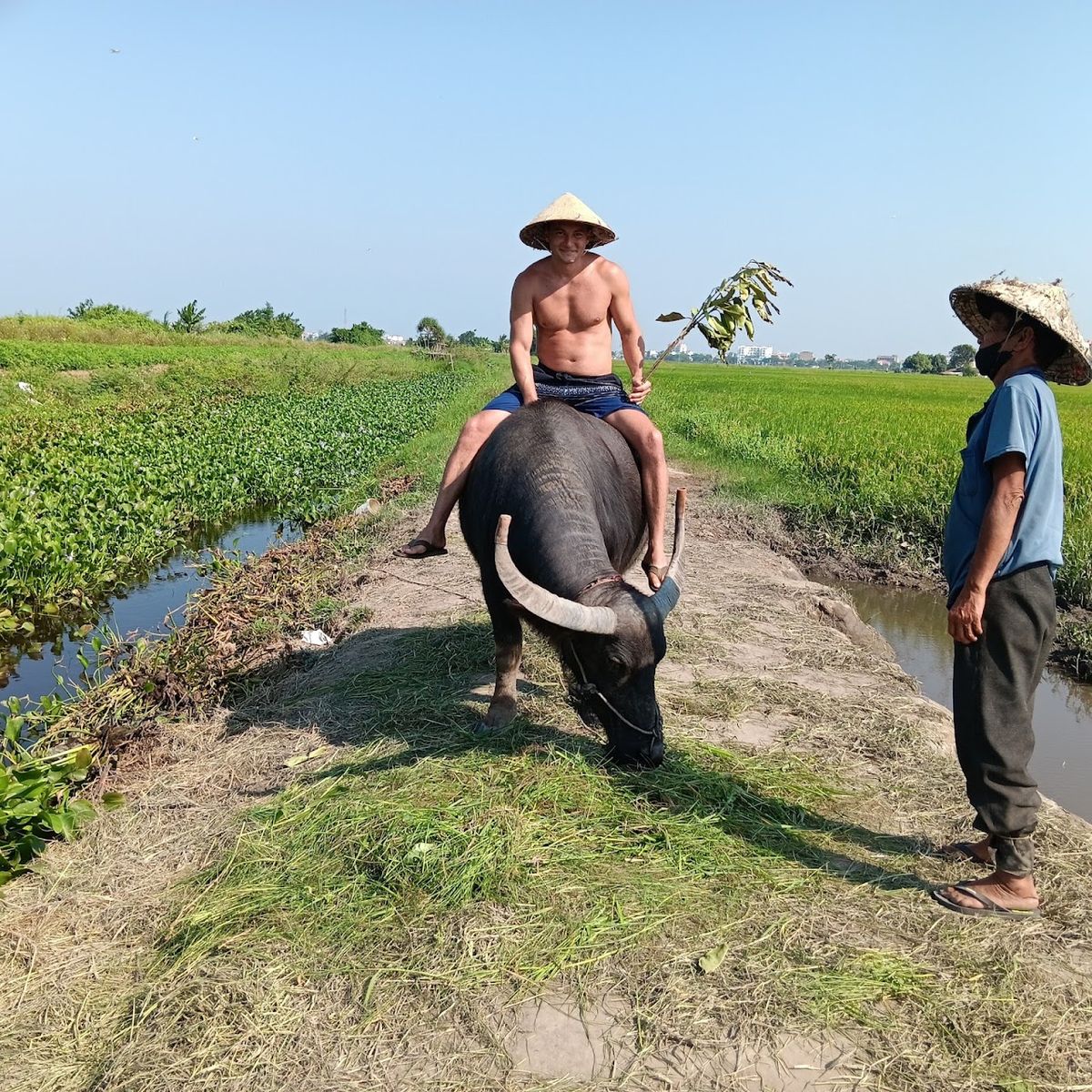 Hoi An Rice Fields-Cycling&Sunset photo 4