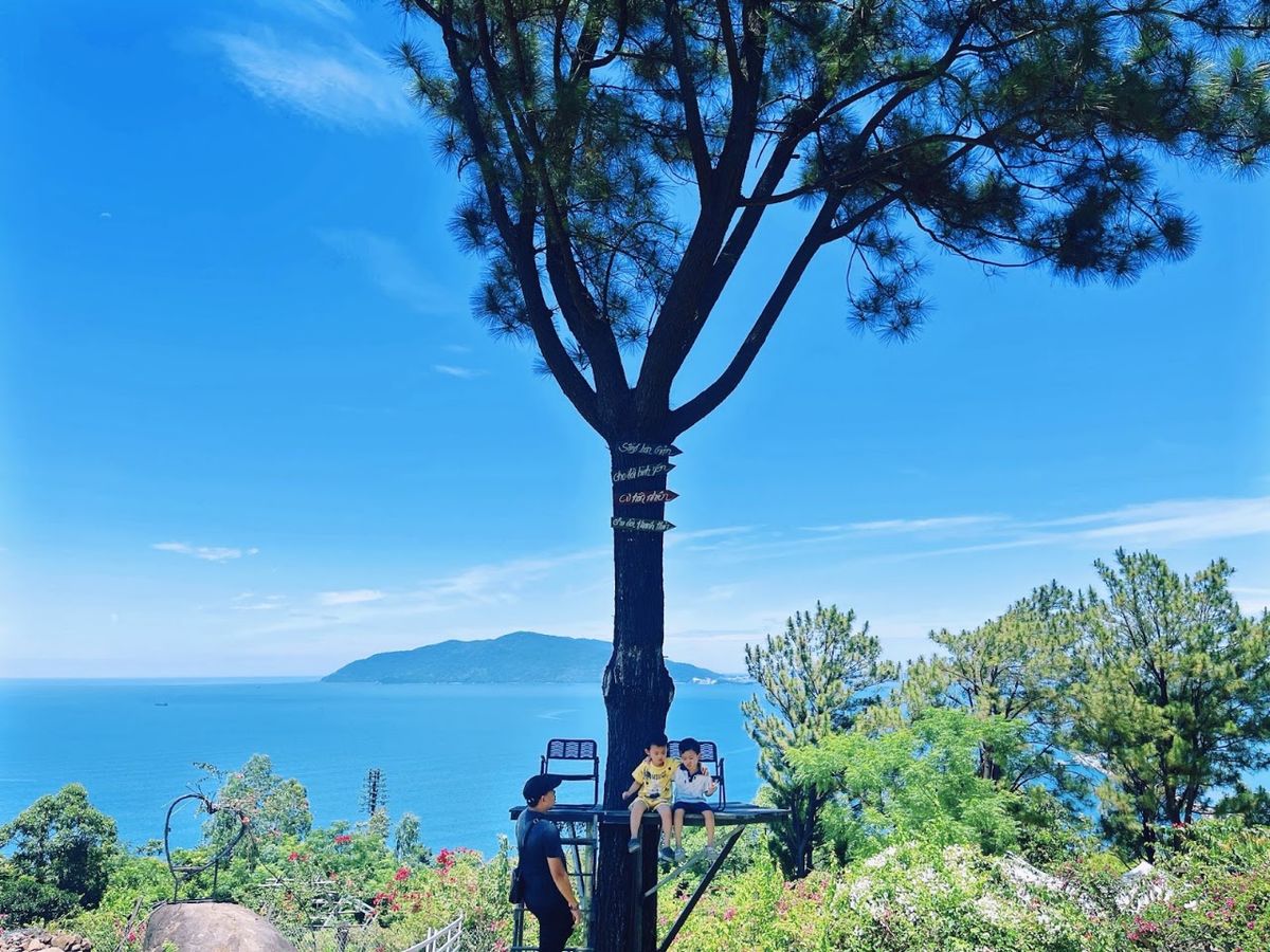 Đồi Cừu Hải Vân photo 4