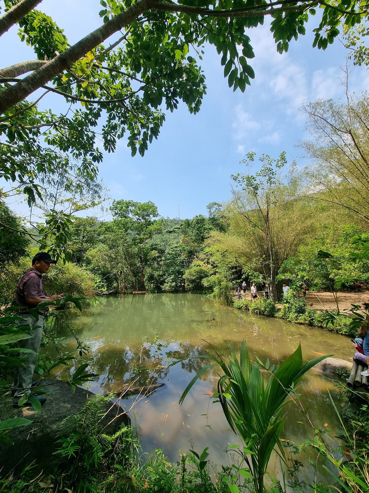 Tinh Vien Son Tra photo 3