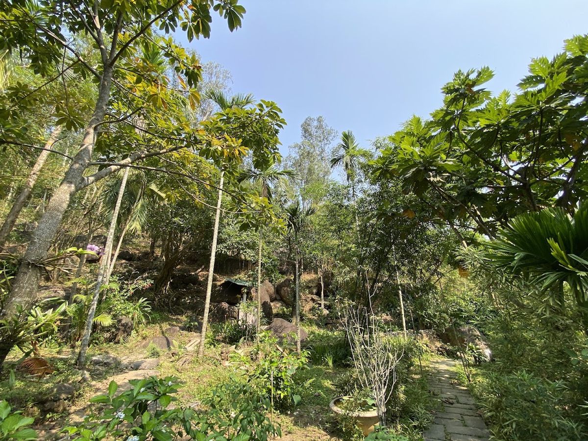Tinh Vien Son Tra photo 4