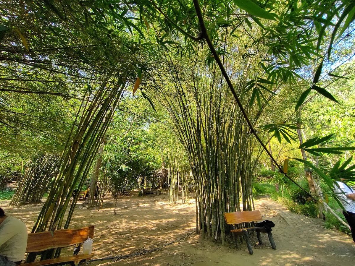 Tinh Vien Son Tra, Da Nang