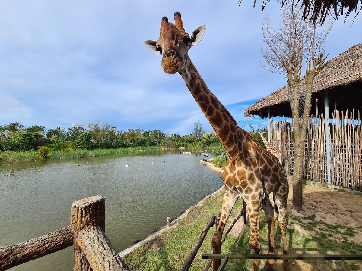 Vinpearl Water World photo 3